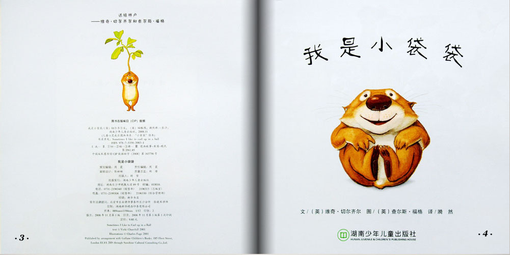 我是小袋袋 (03),绘本,绘本故事,绘本阅读,故事书,童书,图画书,课外阅读